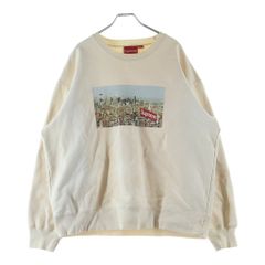 STUSSY (ステューシー) パイルアーチロゴ プルオーバーパーカー
