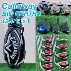 ゴルフクラブ フルセット キャロウェイ ビッグバーサ入り 初心者 M3975