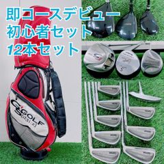 即コースデビュー！ ゴルフクラブ フルセット 12本 コブラ入り G3901