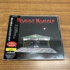 □02)【1点限り!】【除籍本】朝日新聞 縮刷版 2005年1~12月号 12冊