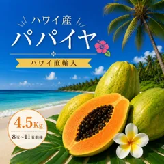 ハワイ産 パパイヤ 4.5kg 8〜11玉入り 送料無料 南国フルーツ トロピカルフルーツ ハワイ直輸入  家庭用 ギフトのサムネイル