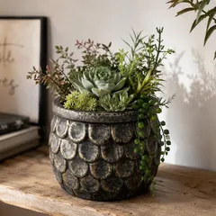 植木鉢 陶器 花器 黒色 底穴あり 外寸15cm 高さ14cm 塊根植物 多肉植物 観葉植物