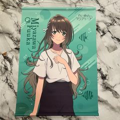 青ブタ 青春ブタ野郎シリーズ公式イラストブックPAINTING - メルカリ