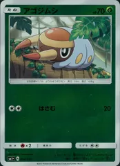 004/051/SM1＋/アゴジムシのサムネイル