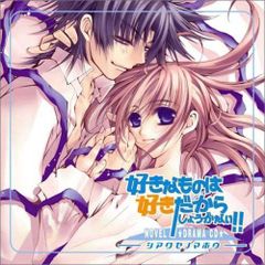 中古美品】ストライク・ザ・ブラッド シリーズ ビジュアルコレクション