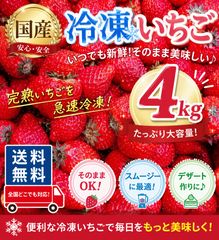 ドテチャン様専用 【訳あり】冷凍ブルーベリー 4キロ - メルカリ