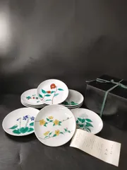 F20-06/有田焼/苑山窯/三島 聖生 造/苑山オリジナル/手書き色絵山野草シリーズ銘々大皿 10客/約Φ24.5cm/骨董/筑紫風土/筑紫路/大皿/飾皿/額皿/絵皿/懐石道具/懐石料理