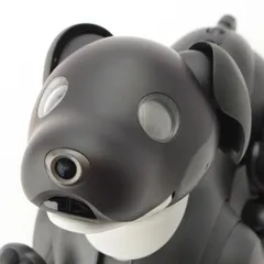 2026年最新】aibo ers-1000の人気アイテム - メルカリ
