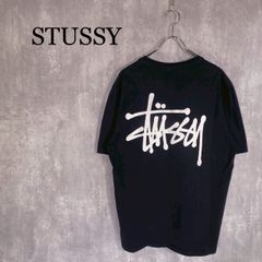 a1【即完売モデル】ステューシー 背面ビッグロゴ レア 人気色 半袖T 