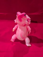 ペインターネット フトアゴン マダラザクラ 蓄光成型 - メルカリ