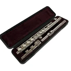 2026年最新】Yamaha YFL-221の人気アイテム - メルカリ