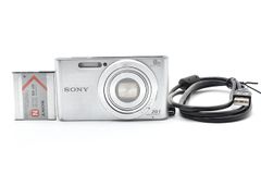 バッテリーx2付き】ソニー Cyber-shot DSC-WX100 シルバー - メルカリ