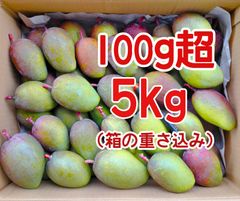 摘果マンゴー✨✨5kg - メルカリ