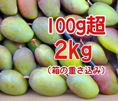 紫3-15】約2.9kg グリーンマンゴー 青マンゴー マンゴー 摘果マンゴー