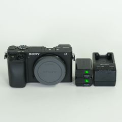 SONY α6600 ボディ ミラーレス一眼 バッテリー ストラップ付 - メルカリ