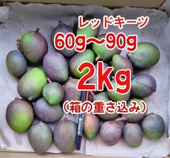 摘果マンゴー加工用　veryverysmall 摘果 未熟 加工用 マンゴー/ 約2㎏〈約60g～90g〉レッドキーツ - メルカリ