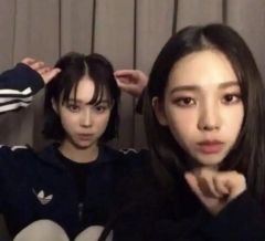 adidas ナイロンジャージ TWICEモモさん着用 - メルカリ