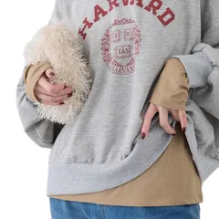 【新品】 [ロペピクニック] 新色追加/シアーカットクルーネックプルオーバー ブラウン（22） 0