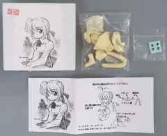 【中古】フィギュア セイバー（私服） 「Fate/stay night」 ガレージキット