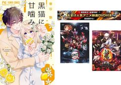 こちら葛飾区亀有公園前派出所 両さん奮闘編 37【アニメ 中古 DVD