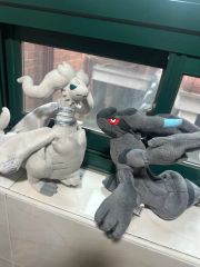 ジェリーキャット オニキスドラゴン ぬいぐるみ 龍 竜 ブラック 50cm