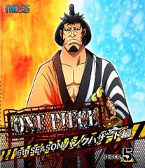 [중고-아주 좋아]ONE PIECE 원피스 16TH 시즌 펑크 해저드편 piece.5[Blu-ray]