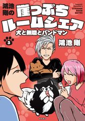 ワイルドピッチ 全巻セット（1巻〜16巻） 中原裕 - メルカリ