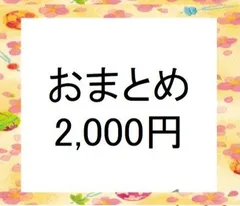 おまとめ購入希望者用　（￥2,000円、他の商品の複数購入希望者用）　検索用＃雪割草＃山野草＃ウチョウラン＃蘭＃カタクリ＃キスミレ＃行者ニンニク＃ヒメサユリ＃シラネアオイ＃ワサビ＃エビネのサムネイル