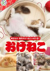 セル版 あまえないでよ！！1期 喝(2期) DVD 全巻 ディスクのみ+α