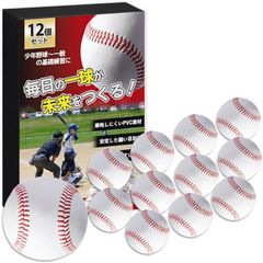 定価3988円】HIRAISM 野球硬式ボール 12個セット - メルカリ