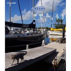 きろくん❁︎大きいサイズ‼️様専用♥レジンヘアゴムブローチ - メルカリ