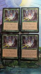 MTG 英語版 基本地形 基本土地 英語約300枚 フルアート含 人気絵柄