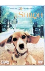 ビーグル犬 シャイロ 1&2 DVDセット - メルカリ