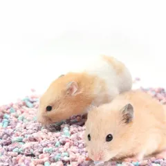 新品 150g ハムスター床材 カラフル吸水紙ペレット 消臭吸水 柔らかふわふわ 小動物用巣材のサムネイル