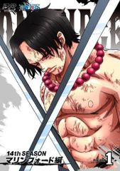 [중고] ONE PIECE 원피스 14th 시즌 마린 포드 편 전 14 권 [마켓 플레이스 DVD 세트]