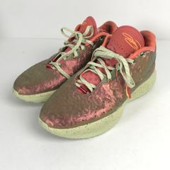 31cm】レブロン 21 Lebron 21 コンキオリン - メルカリ