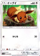 070/094/SM6/이브이