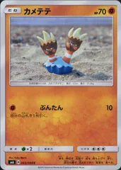 043/094/SM6/カメテテのサムネイル