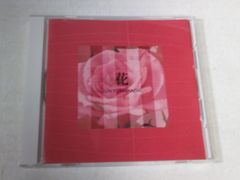 別野加奈 海辺の花屋 CD & リリックブック - メルカリ