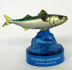 【中古】トレーディングフィギュア マサバ 「新江ノ島水族館立体生物図録2」のサムネイル