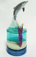 【中古】トレーディングフィギュア バンドウイルカとトリーター 「新江ノ島水族館立体生物図録2」のサムネイル
