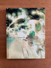 グラマー裸婦ポーズBOOK = The pause book of glamo… - メルカリ