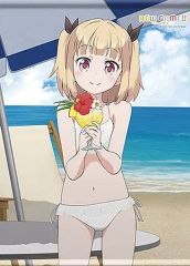 [중고] 태피스트리 이이지마 윤(수영복) 신작 B2 태피스트리 [NEW GAME!!] C96 상품