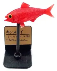 【中古】トレーディングフィギュア キンメダイ 「原色海水魚図鑑 III」のサムネイル