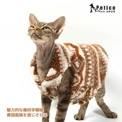 고양이 옷, 고양이 옷, 애완 동물 옷, 스핑크스, 털이 없는 고양이, 털이 없는 고양이, 털이 없는 고양이