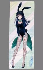 [중고] 수건·수건 [단품] 이시다 카나 일러스트 마이크로 화이버 스포츠 타월 [라이트 노벨 계속·마법과 고등학교의 열등생 메이지안·컴퍼니 제7권 전문점 한정 세트] 동고 특전