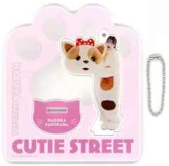【中古】アクリルスタンド・アクリルパネル 桜庭遥花 メンバー別アクスタ(アクリルスタンド)-ネコの着ぐるみビジュアルver.- 「CUTIE STREET 1stワンマンライブ -CROSS STREET-」