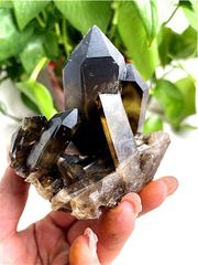 AAA級【魔除け】◆天然モリオン(黒水晶）クラスターYT8C6/191C49C AAA級【魔除け】◇天然モリオン(黒水晶）クラスターYT11C6/58C31A