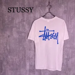 『STUSSY』ステューシー (S) ベーシックステューシーTシャツ
