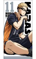 [중고] 타월·수건(캐릭터) 츠키시마 반딧불 120cm 빅 타월 승리에의 투지 Ver. [하이큐!! 카라스노 고교 VS 시라토리자와 학원 고등학교]